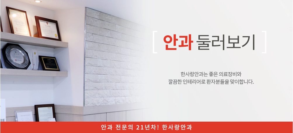안과둘러보기