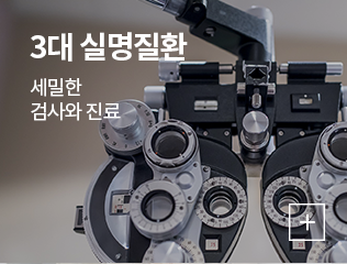 3대 실명질환
